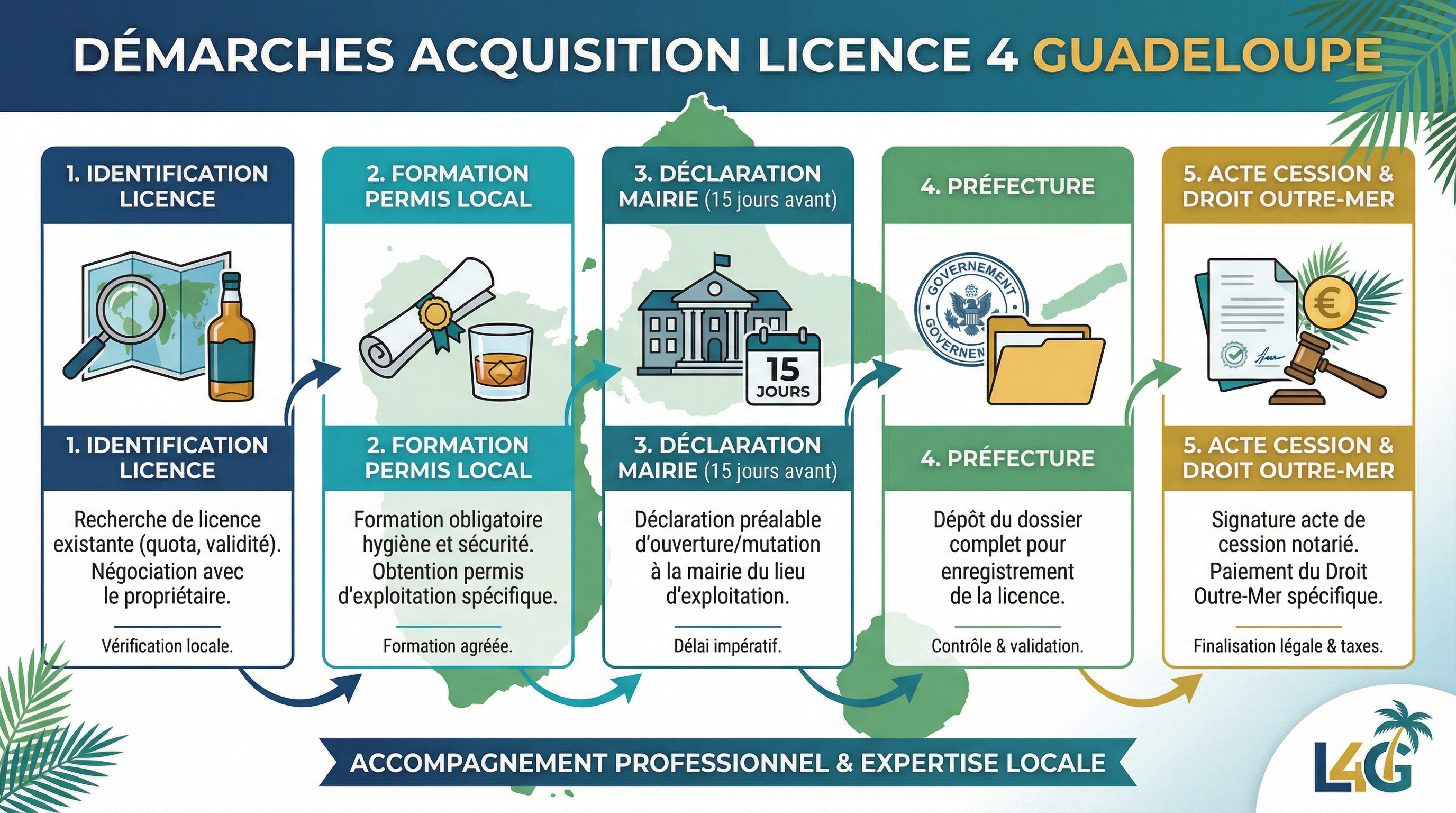 Infographie : démarches d'acquisition licence 4 en Guadeloupe (identification, permis local, mairie 15 jours, préfecture)